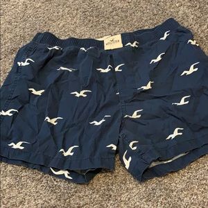 Hollister boxers